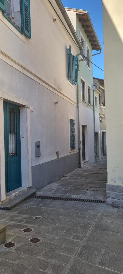 Apartma Galeb Piran Bagian luar foto